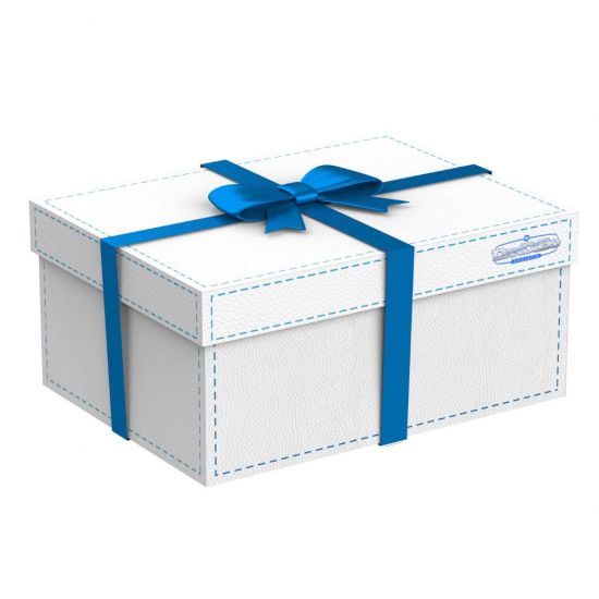 White DanDiBox gift box with a blue ribbon
